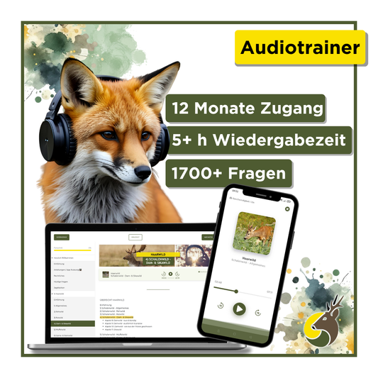 Gutscheincode: Audiotrainer