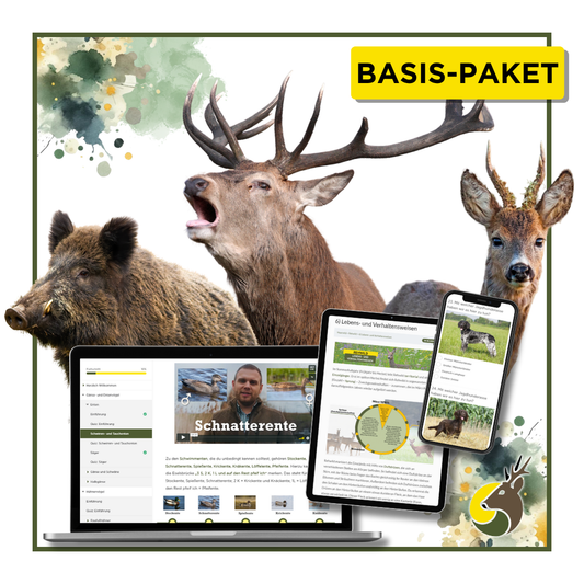 Gutscheincode: Basis-Paket