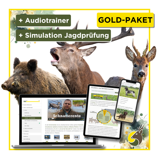 Gutscheincode: Gold-Paket