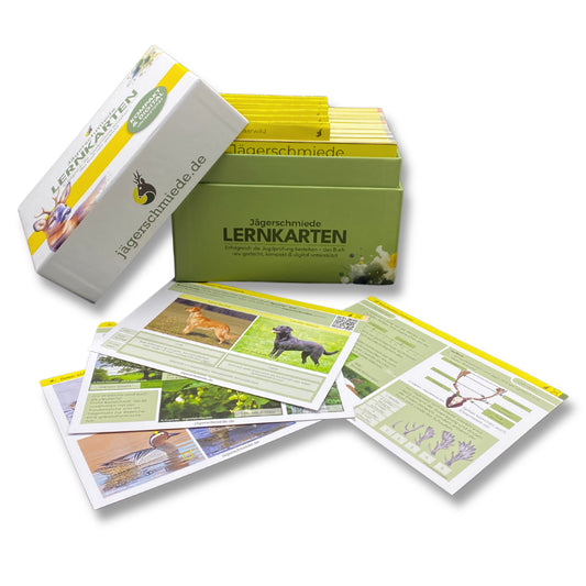 Lernkarten