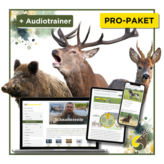 Gutscheincode: Pro-Paket